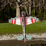 Eratix 3D FF (Flat Foamy) 860mm BNF Basic with AS3X and SAFE Select, E-flite