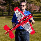 Eratix 3D FF (Flat Foamy) 860mm BNF Basic with AS3X and SAFE Select, E-flite