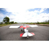 Rans S-20 Raven 20cc 2.2m ARF Kit, Seagull Models