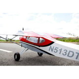 Rans S-20 Raven 20cc 2.2m ARF Kit, Seagull Models