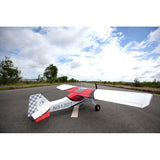 Rans S-20 Raven 20cc 2.2m ARF Kit, Seagull Models