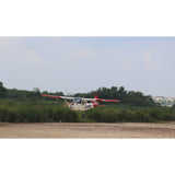 Giant Scale Cessna Bird Dog DeadEye 122" ARF 70-125cc, Seagull Models