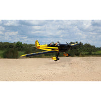 Space Walker II "Revolution", 30cc 2.1m ARF Kit, Seagull Models