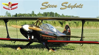 Steen Skybolt N250SB, 15cc ARF, Seagull Models